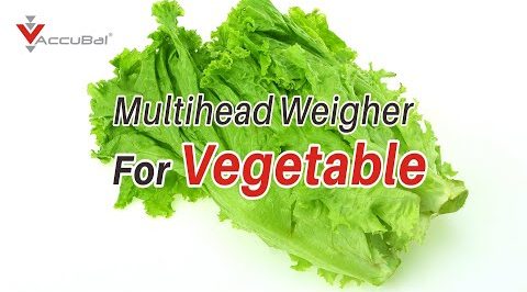 Large Volume 14 Heads Multihead Weigher for Vegetable